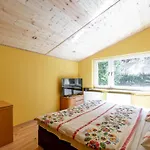 Topaz 3*