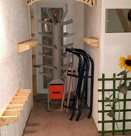 Topaz 3* 카르파츠